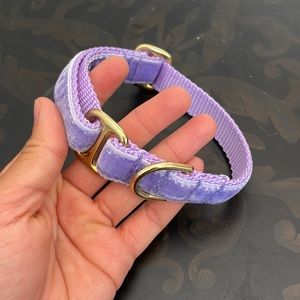 Dog Collar 3/4”